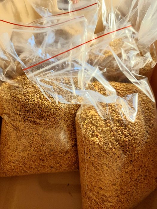 Pyłek Kwiatowy Pszczeli duza ilość 2025