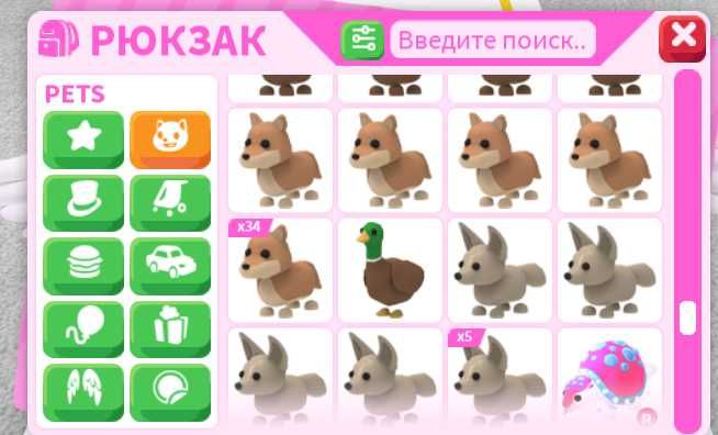 Адопт мі пети Adopt me pets по вигідній ціні
