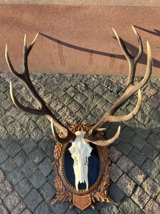 Виріб з ріг оленя