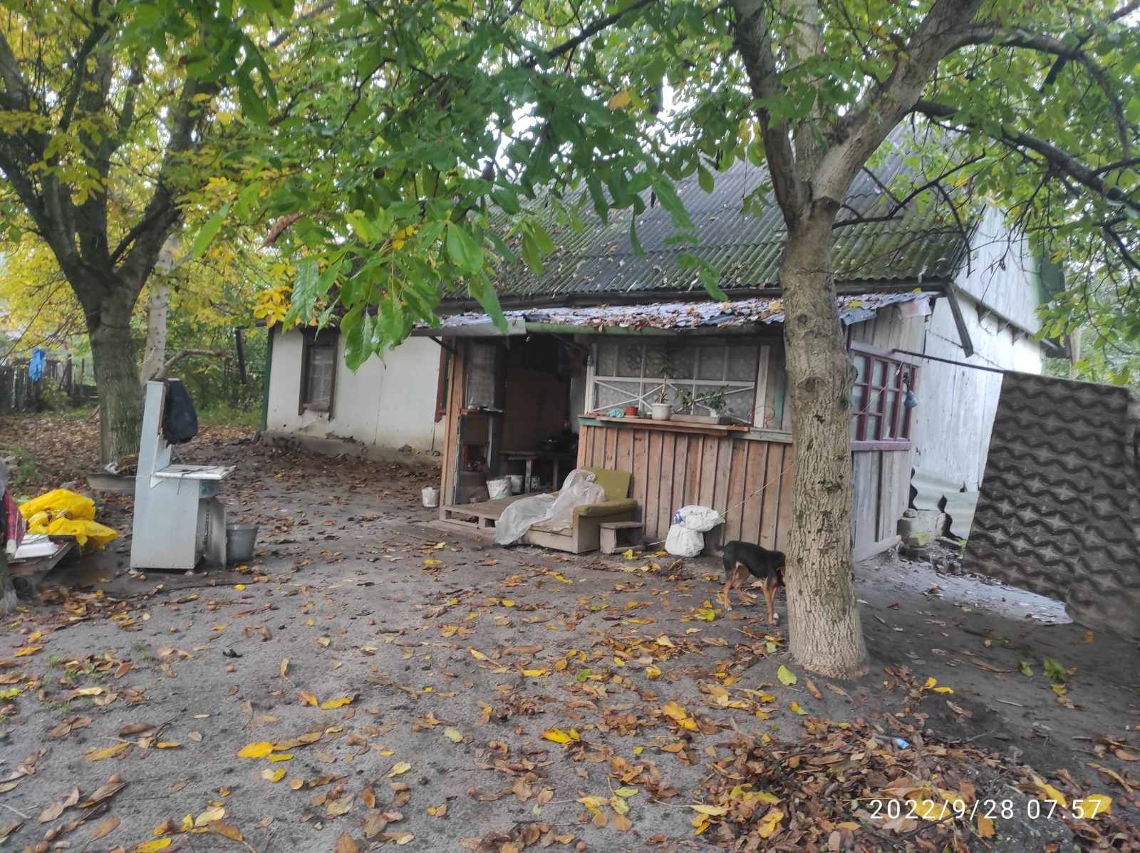 Будинок с.Велика Офірна. Хата
