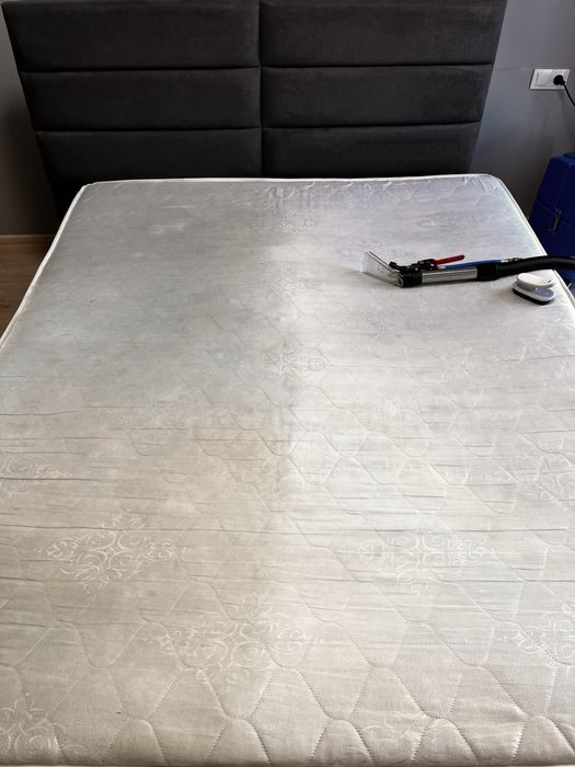 Диван після кота дітей або орендарів ? Очистимо за 1 годину | Львів