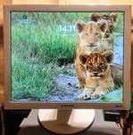 Monitor 17" Samsung VGA DVI pivot