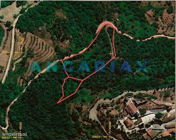 ANG407 - Terreno com 9900m2 para construção em Penela