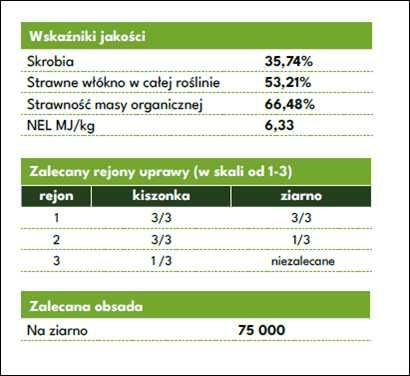 Nasiona kukurydzy ZE SLOVAKIA ziarno FAO 270 (80 tys.) WYPRZEDAŻ
