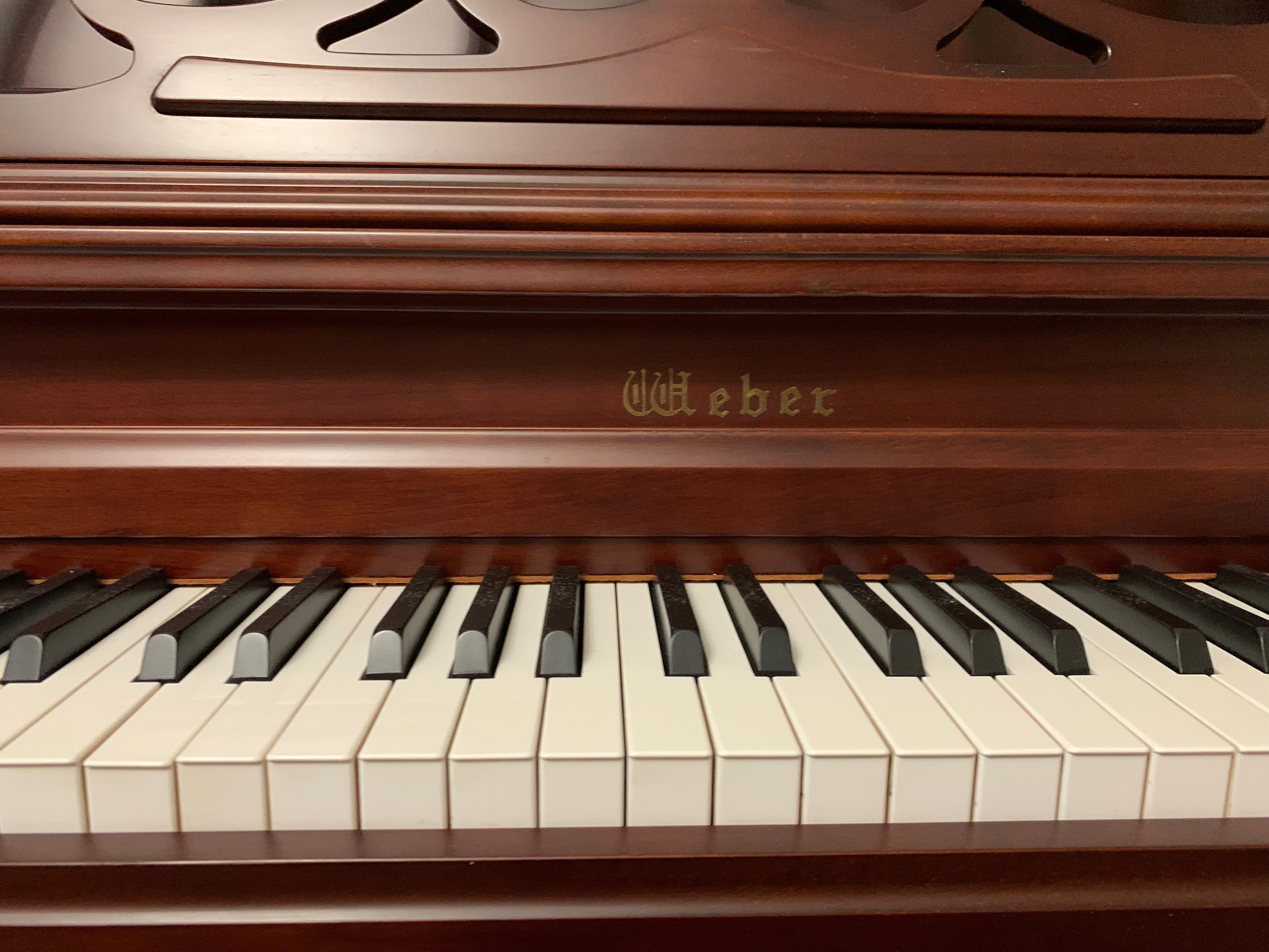 Піаніно Albert Weber W112F SATIN CLBCP