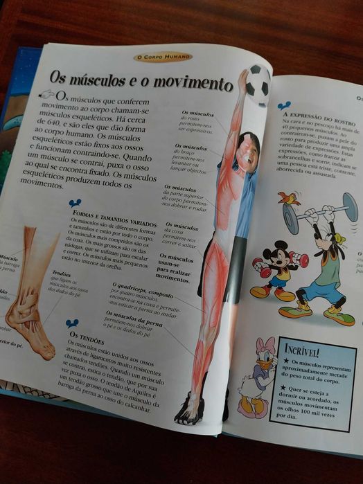 O Corpo Humano, livro didático, com personagens da Disney
