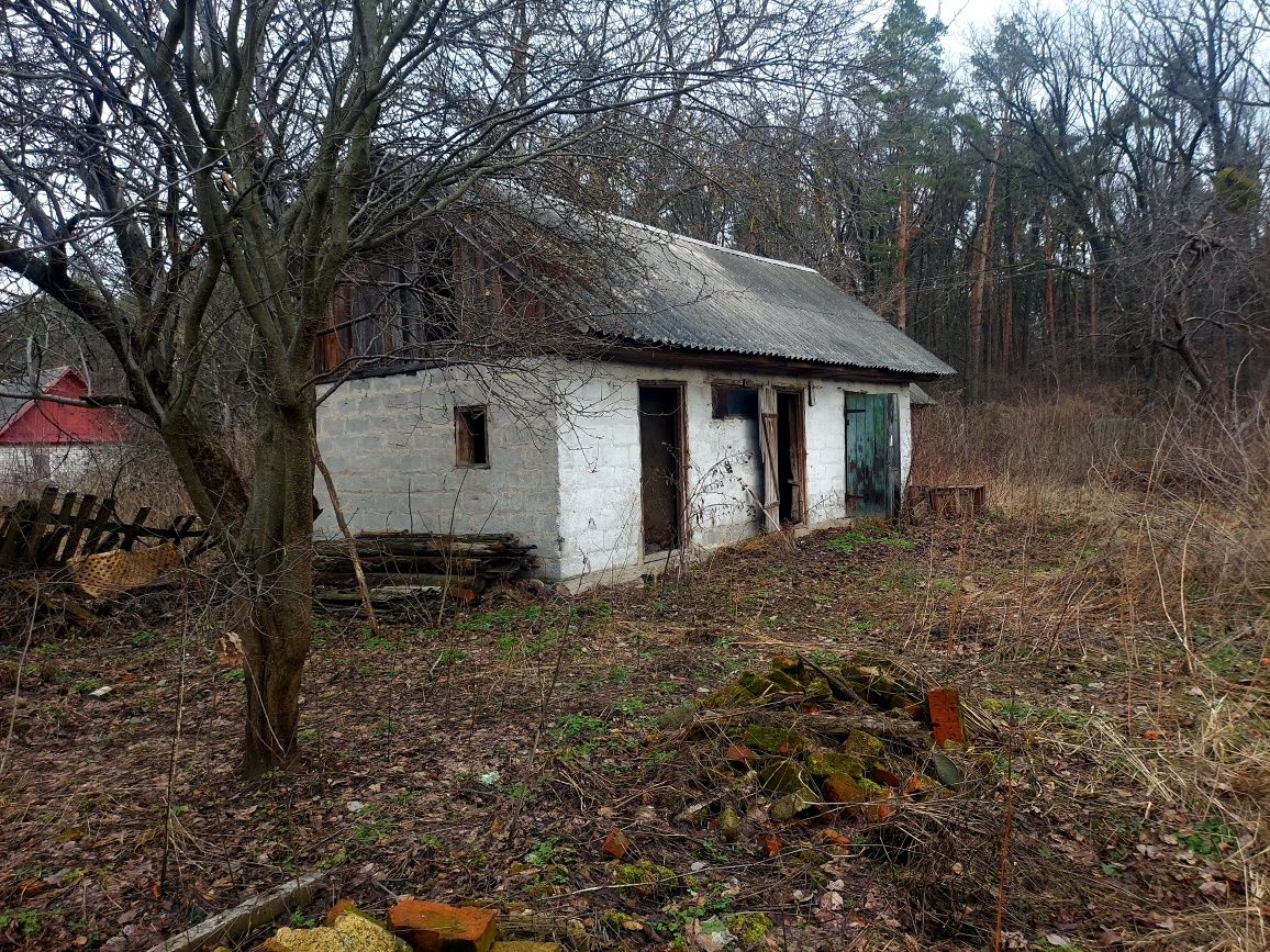 Ділянка в с.Довжик через дорогу від лісу (26141213)