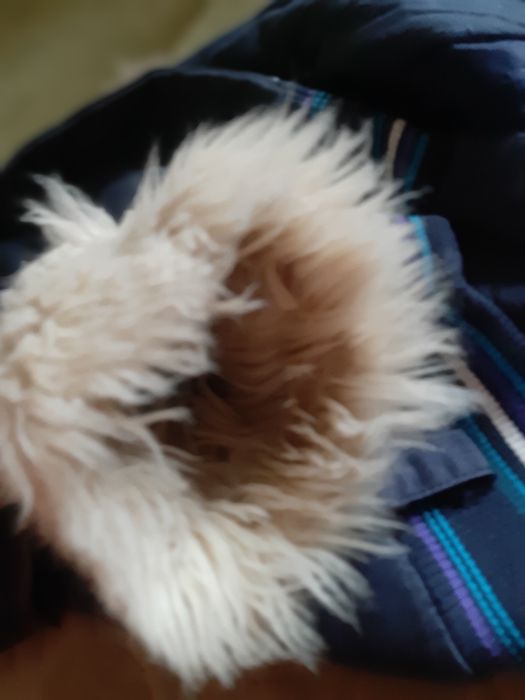 Женская парка silviаn heach, р.S