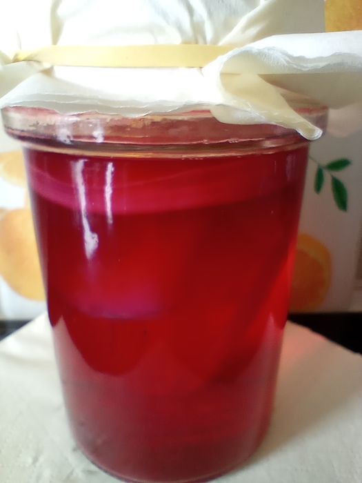 Kombucha żurawinowa średnica słoika 1 l