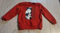 Bluza Snoopy Peanuts rozmiar 98/104