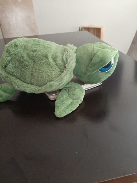 Peluche tartaruga novo
