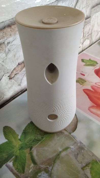 Автоматичний освіжувач повітря