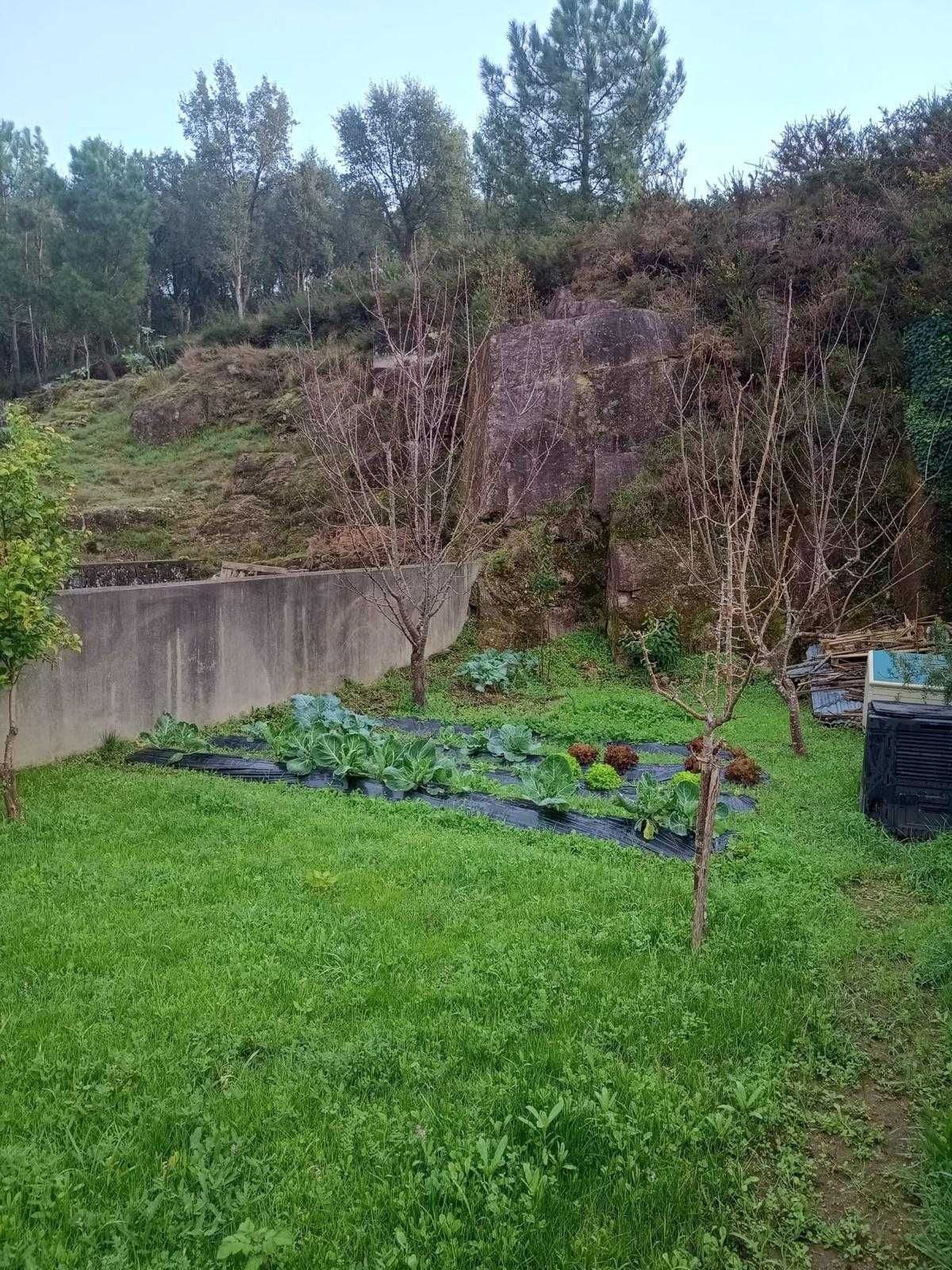 Limpeza de jardins