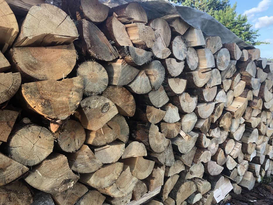 Drewno opałowe suche sosna