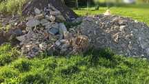 Oddam gruz budowlany. Mix