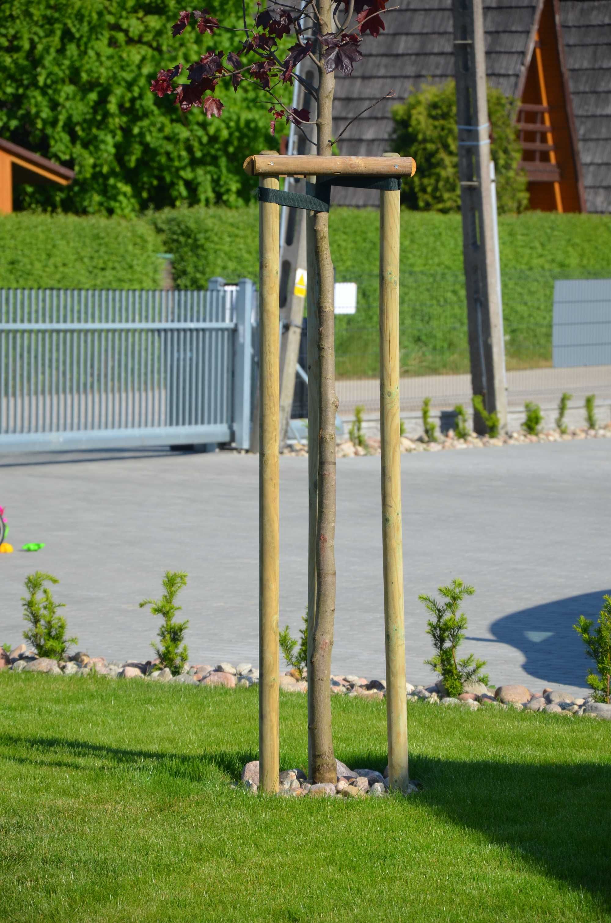 Paliki do drzewek palisada do palikowania 4x180cm WYSYŁKA KAŻDA ILOŚĆ