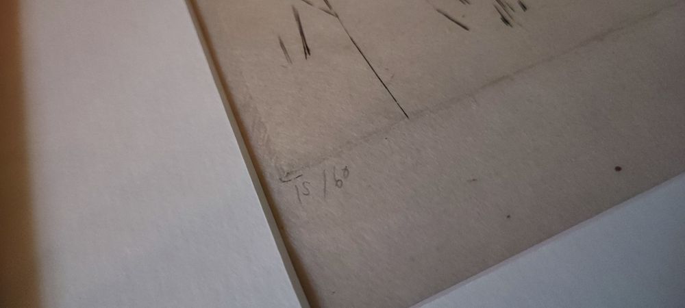 Vieira da Silva Les Roseaux