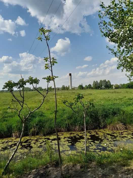 Земельна ділянка