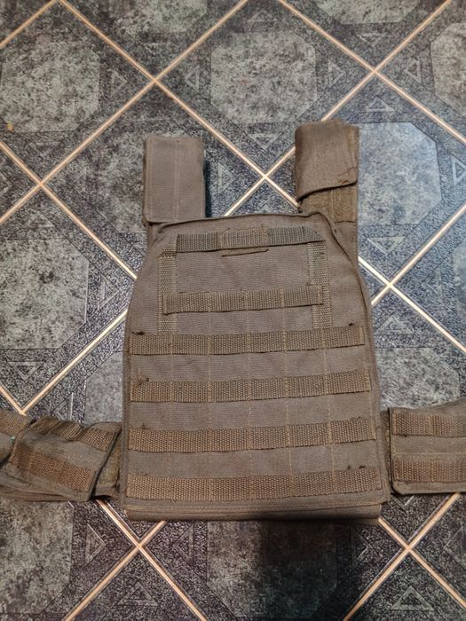 Плитоноска зелена