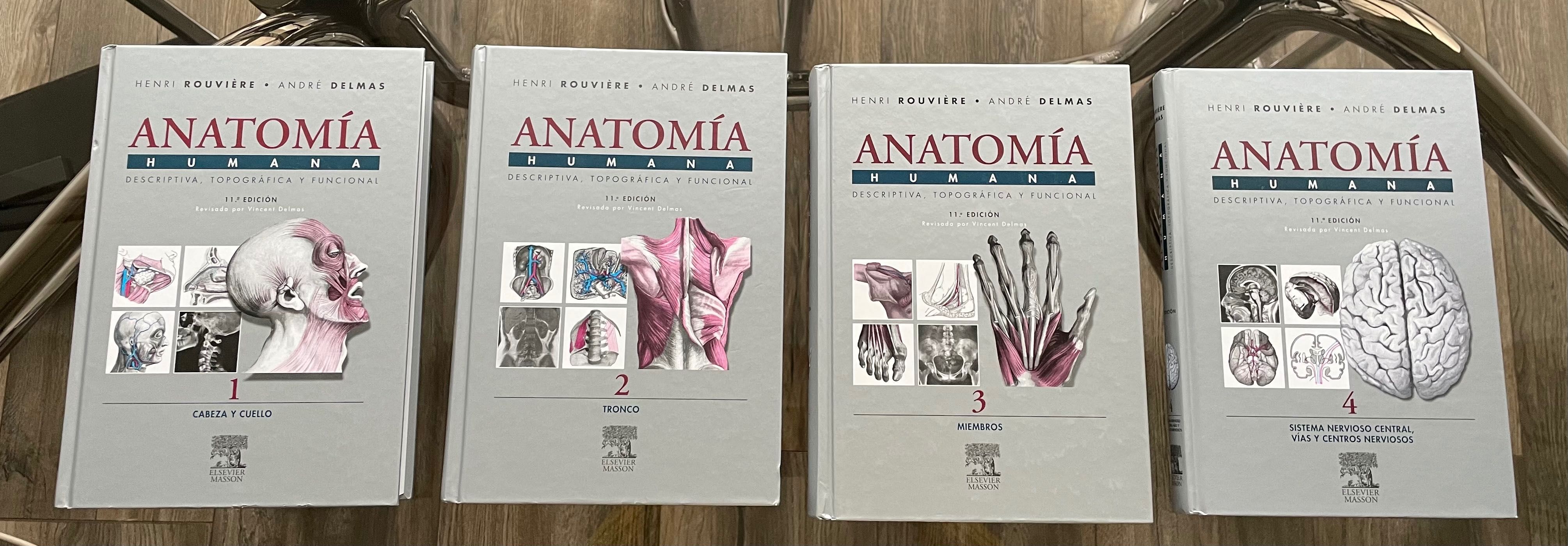 PACK: Anatomía Humana 1-4 | 11ª Edição - Rouvière