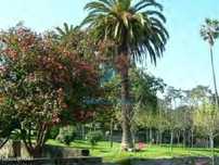 T2 c/varanda, suíte e L.garagem, junto Parque Covelo no Porto º1P