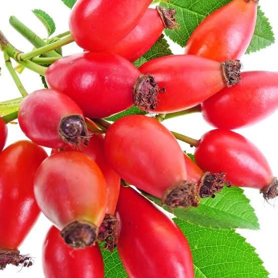 Owoce dzikiej róży