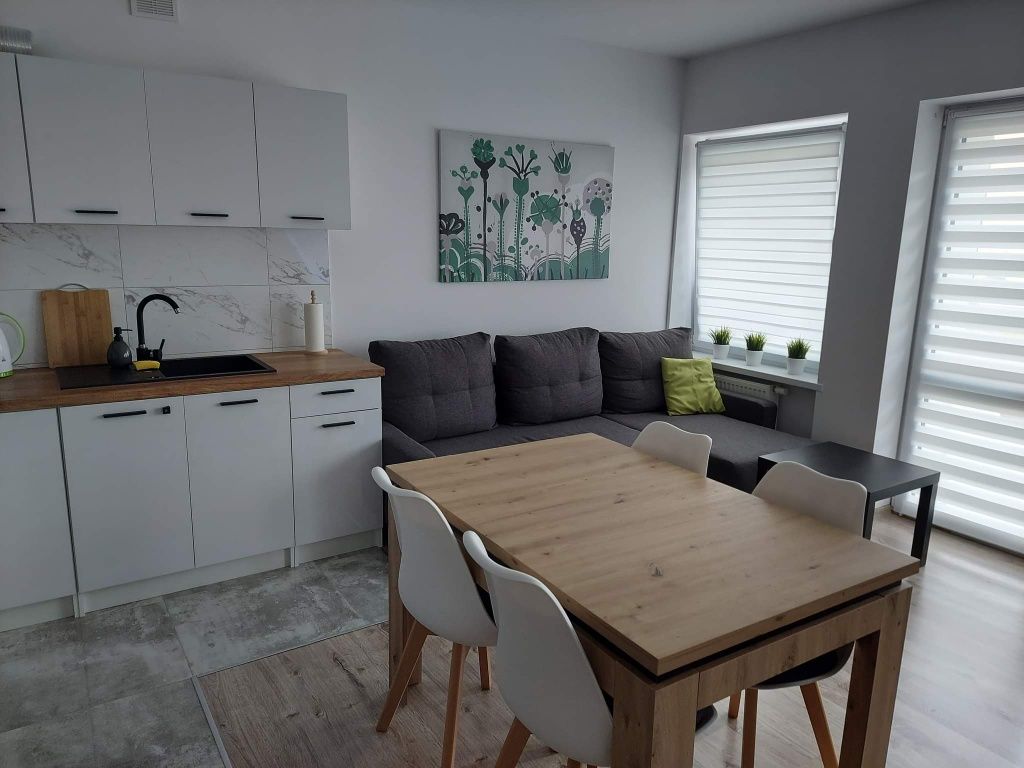 Mieszkanie do wynajęcia, noclegi, Apartament River Skierniewice Rawka