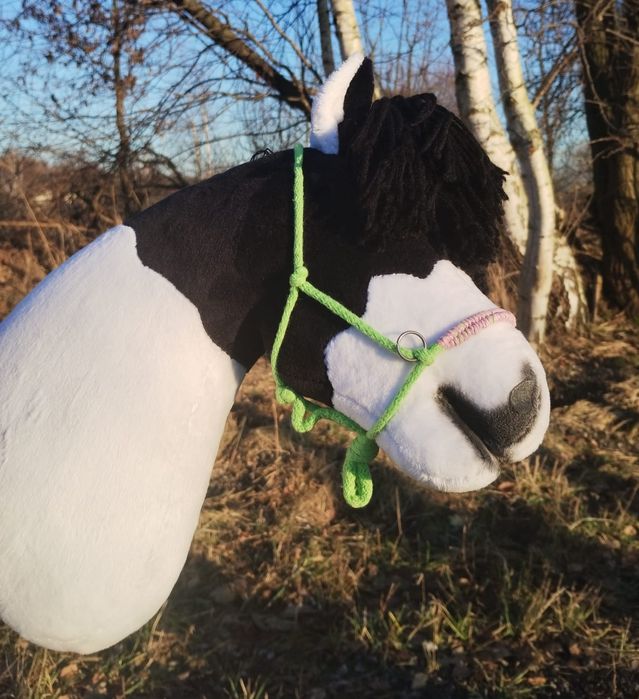 Hobby horse hck a4