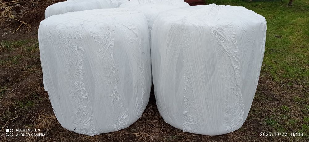 Owies, pszenica, pszenżyto, słoma, siano, sianokiszonka