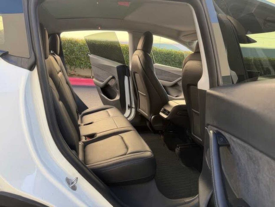 Tesla Model Y Performance      2022