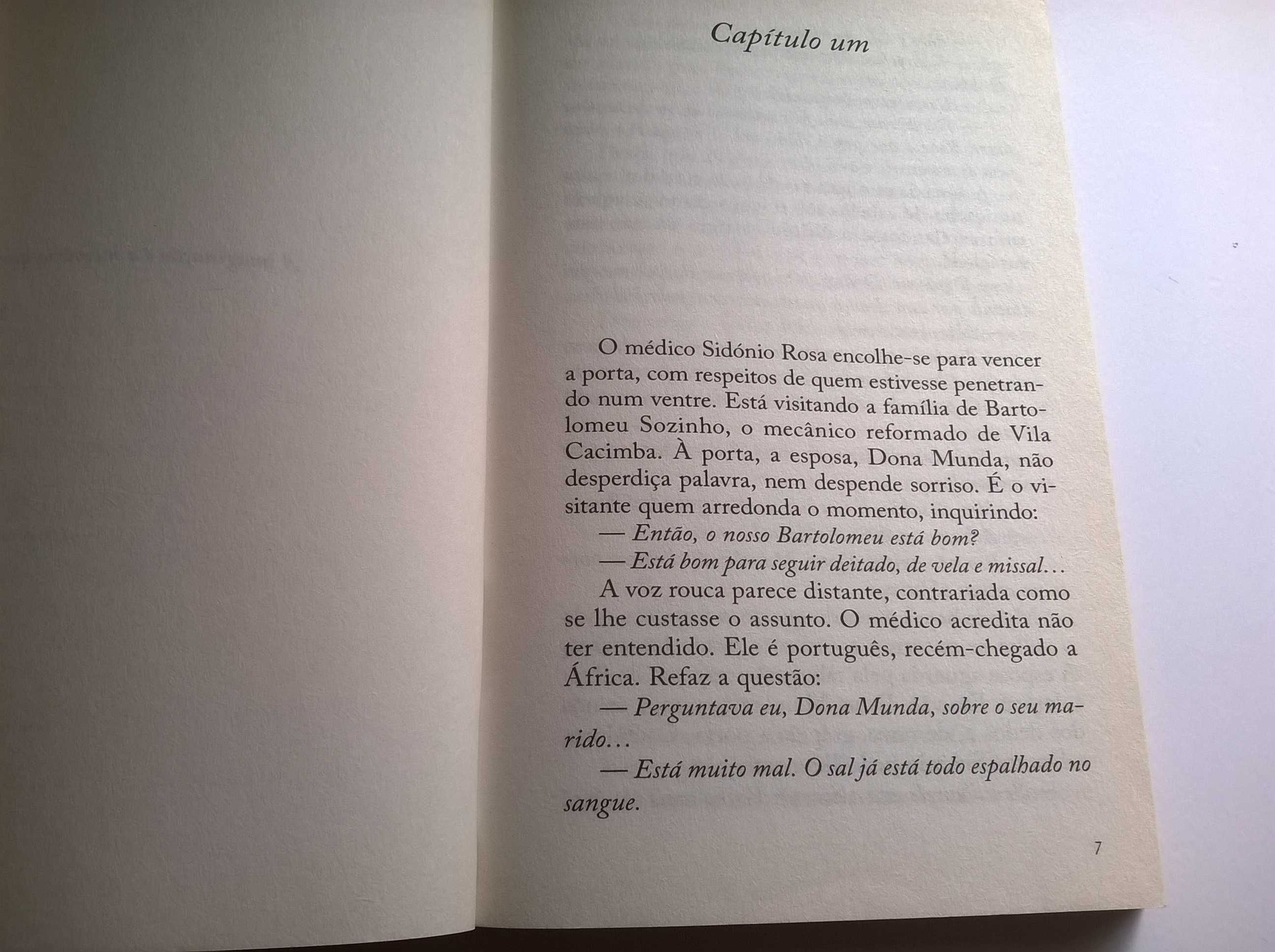 Venenos de Deus Remédios do Diabo - Mia Couto
