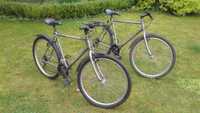 Rowery Peugeot Mosaica Roc - 26"