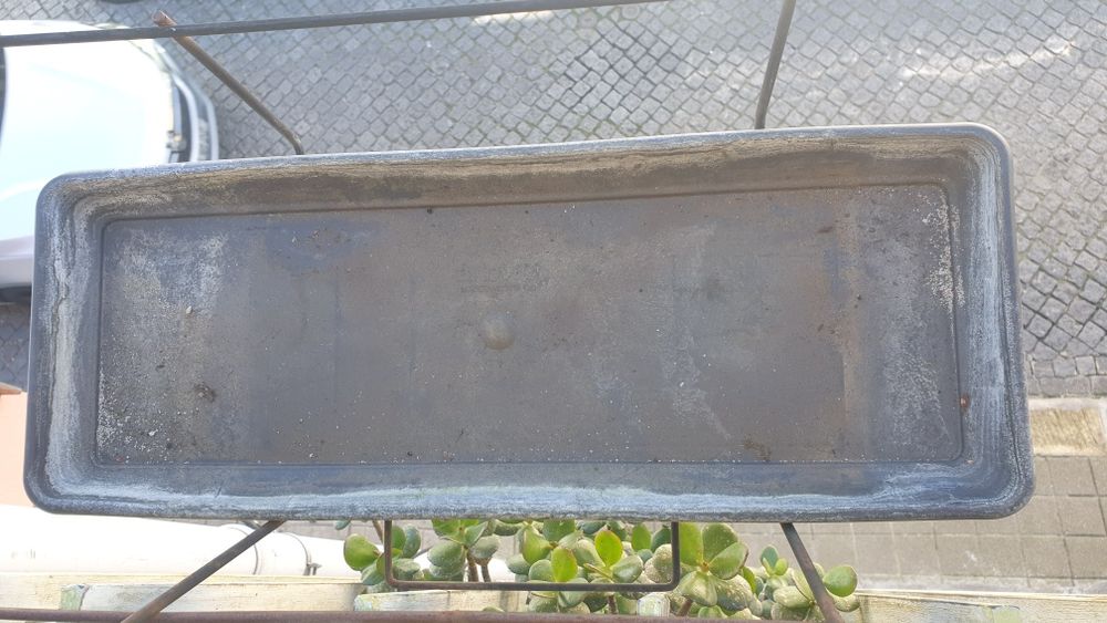Vendo floreira com suculenta ofereço expositor e prato de fundo.