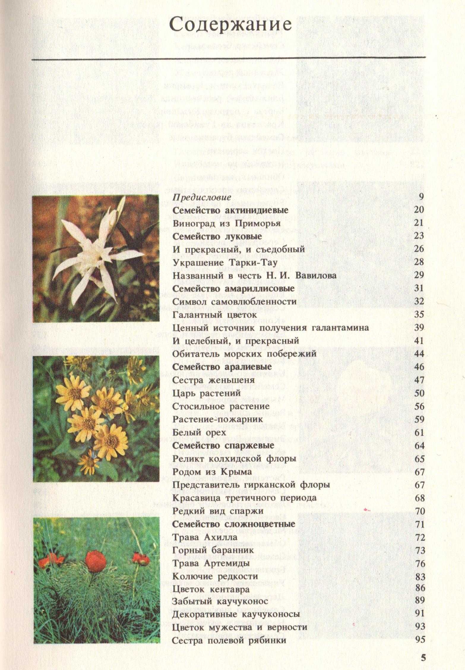 Книга «Редкие и исчезающие растения» по страницам красной книги