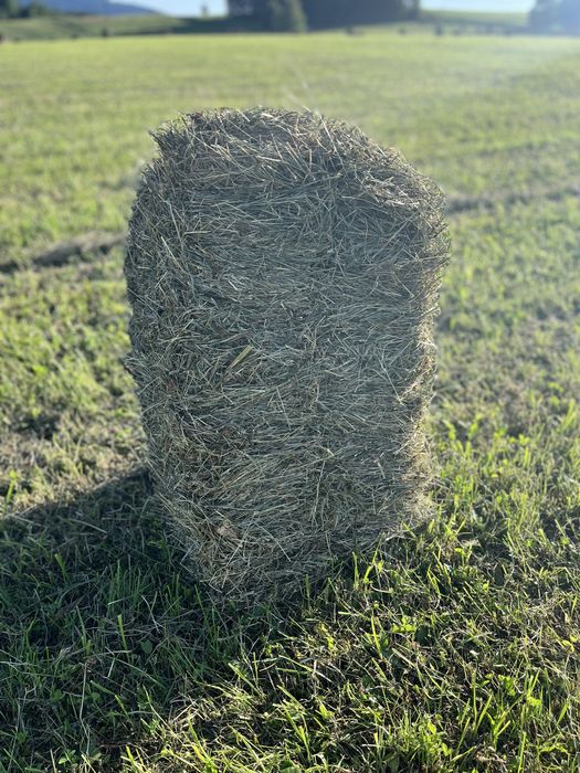 Kostki bardzo ładengo pachnacego drobnego siana dla krolikow
