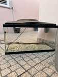Aquario 120 litros