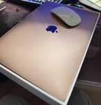 MacBook Air M1 2020 + Apple Magic Mouse