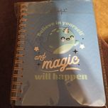 Caderno "mr. Wonderful"