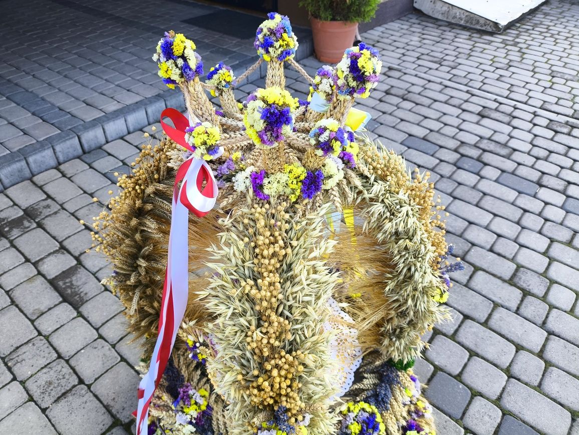 Wieniec dożynkowy