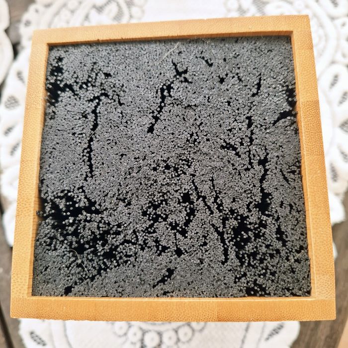 Bambus do przechowywania noży