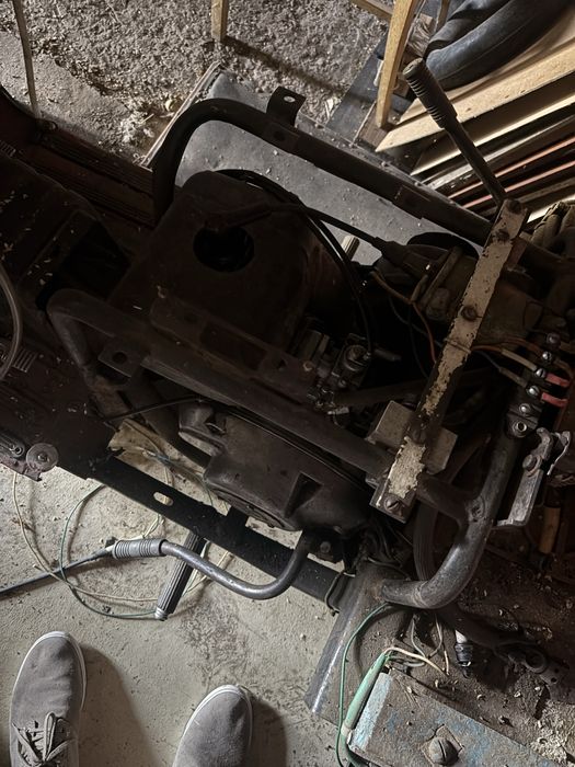 Муравей Тула в хорошем состоянии