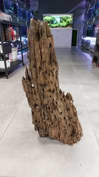 Korzeń Hollow Wood XXL 65cm