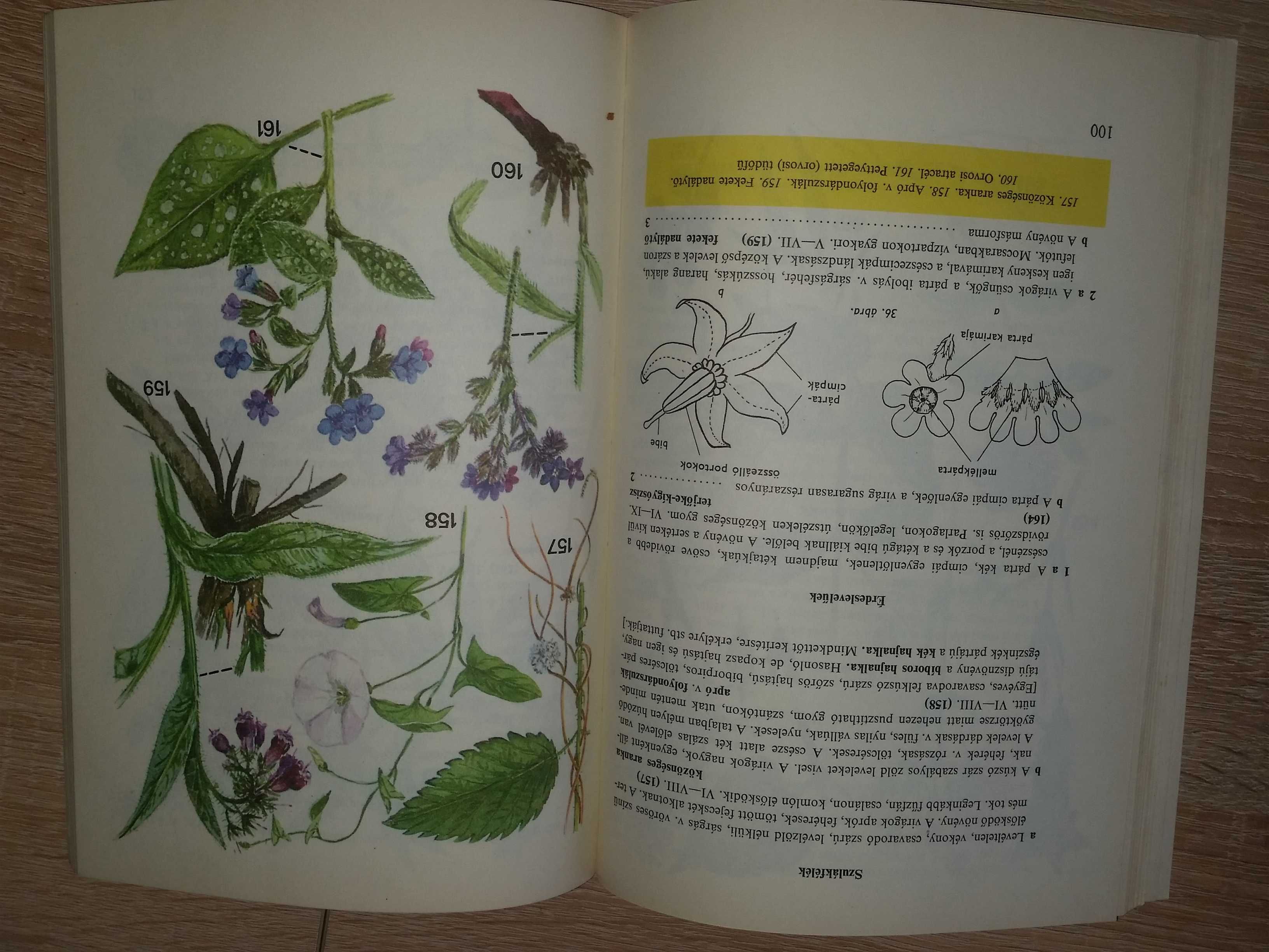 Unikat biologia botanika książka w języku węgierskim 1966