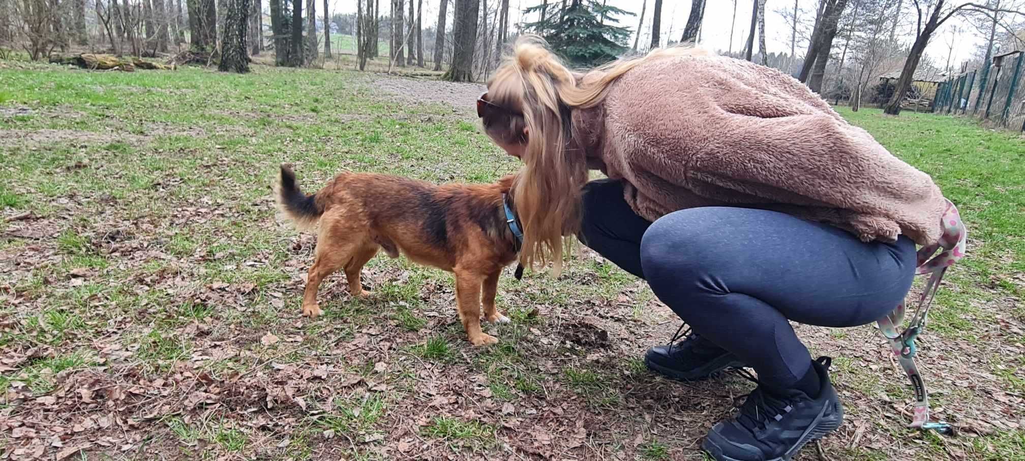 Serdelek szuka nowych opiekunów