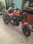 Benelli leocino 125cc