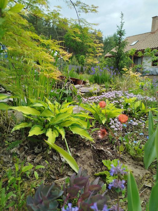 Projektowanie ogrodów, rabat, modernizacja ogrodu