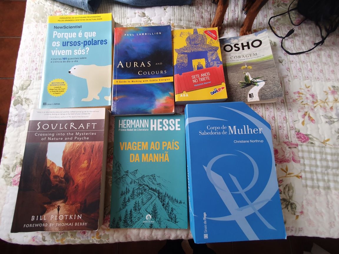 Livros espiritualidade / desenvolvimento pessoal