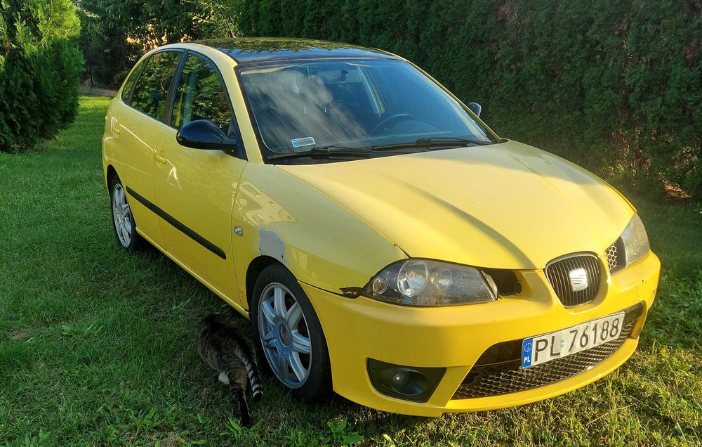Ibiza TDI Sport 220 HP