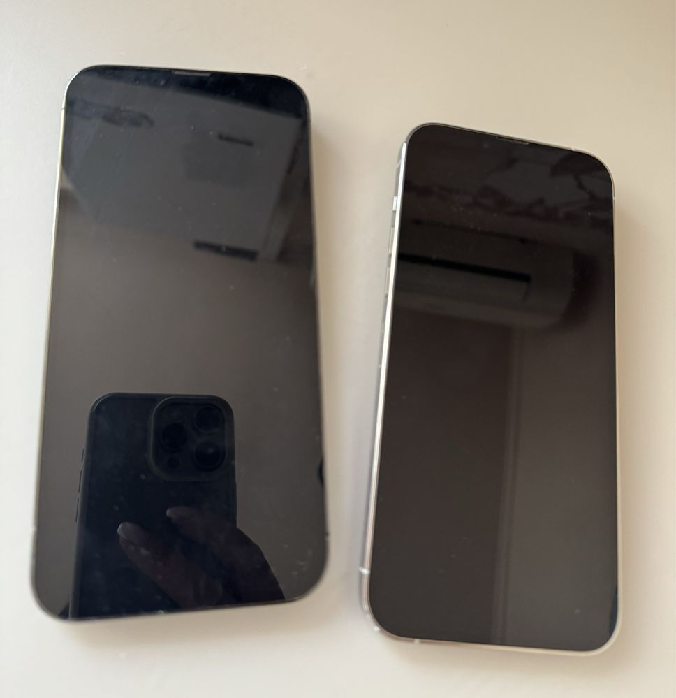 Смартфон Айфон Apple iPhone 13 Pro Max 128 GB Silver и Graphite