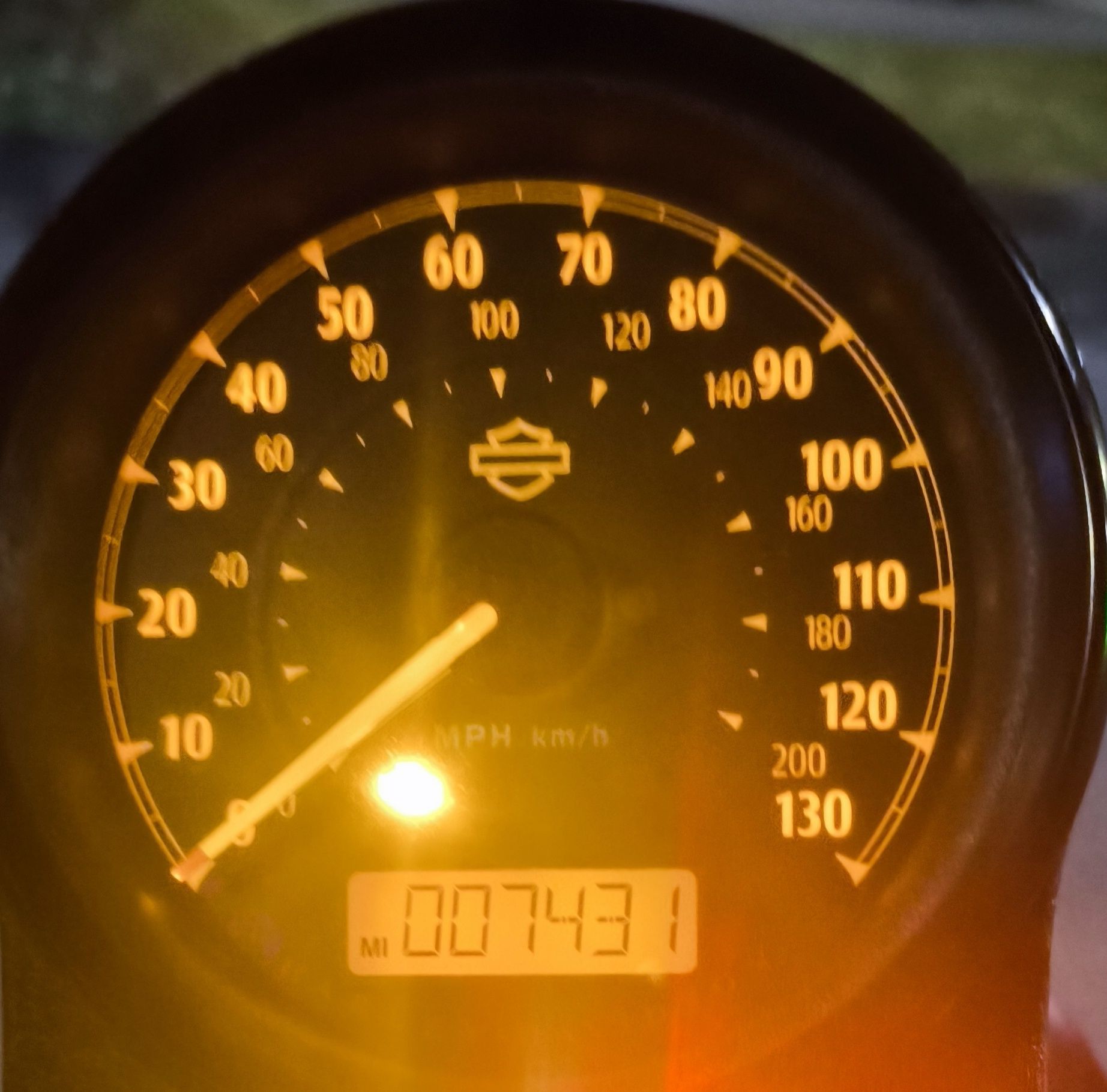 Harley Davidson 883 iron Sportster 2019